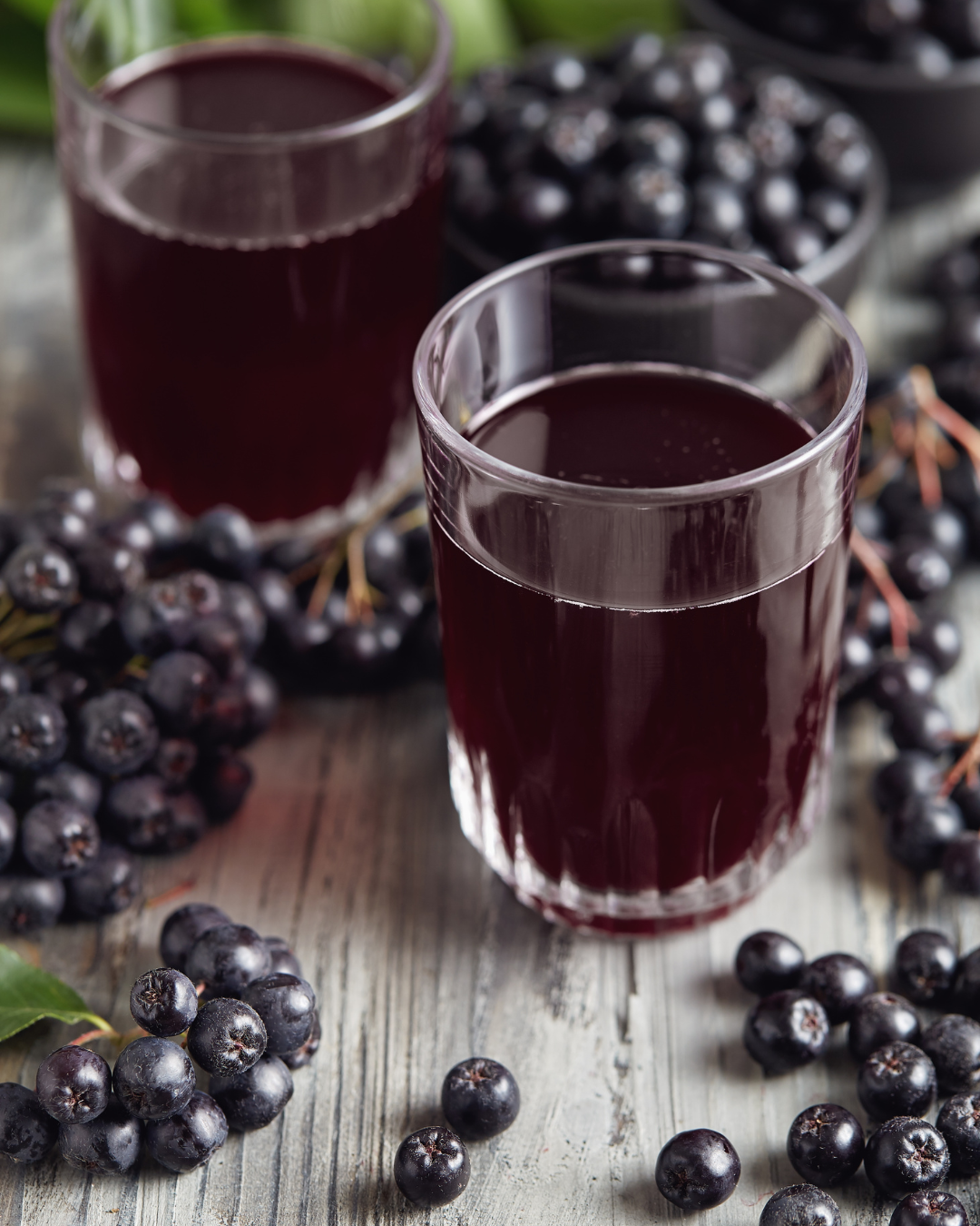 Riklig skörd av Aronia × prunifolia 'Nero' bär i juli