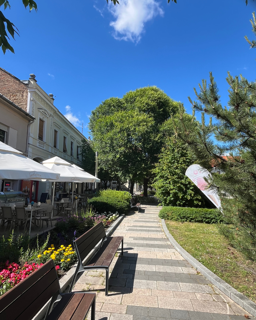 Tåliga Khojasalm träd som fungerar som naturligt vind- och bullerskydd